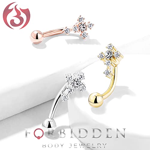 Forbidden Body Jewelry 16g 8mm Surgical Steel Curved Barbell for Daith, Eyebrow, Rook & Belly Button with CZ Cross Top - color: Silver Tone