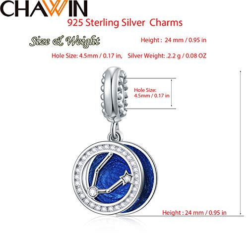 Zodiac Sign Charms for Charm Bracelets - 925 Sterling Silver Necklace Pendants, 12 Constellation/Horoscope Star Dangle - Dangling Birthstone Beads, Birthday Gifts for Women/Men. - color: Pisces (2.19～3.20)