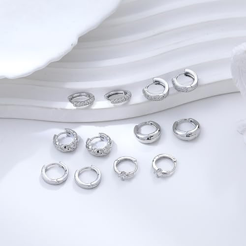 Wgoud Small Gold Hoop Earrings Set for Women, 6 Pairs 14K Gold Plated Hypoallergenic Lightweight Huggie Hoops Earrings, Trendy Cartilage Cubic Zirconia Earrings for Women Gifts. - color: E-Silver hoops