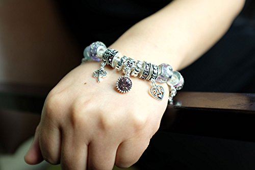 Falari Birthstone Bracelet Multi-Color Charm Beads Silvertone Birthday Gifts for Women - color: 06-June
