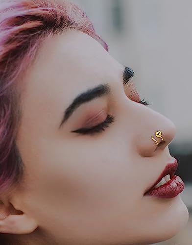 Akeoqi 16PCS Double Nose Ring Hoop For Single Piercing Stainless Steel Dangle Spiral Nose Rings Snake Flower Butterfly Planet Angel Wings Heart Ball Twist Earring Hoops Body Piercing Jewelry For Women - color: B: Gold