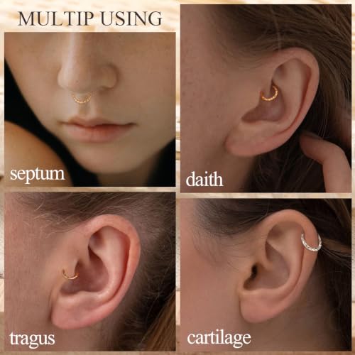 PEAKLINK 16G Arrow Nose Hoop Ring Conch Helix Cartilage Earring Hinged Segment Seamless Clicker Ring Surgical Steel Septum Jewelry Rook Daith Lip Tragus Piercing Jewelry for Women Men - color: Front Arrow,Silver