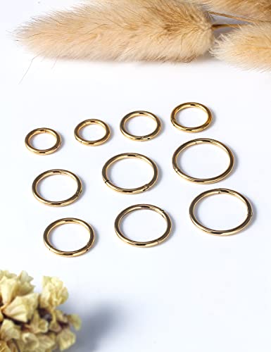 Vsnnsns 14G 16G Septum Nose Rings Hoops Lip Ring Piercing Jewelry 316L Surgical Steel Hinged Segment Clicker Cartilage Tragus Helix Conch Rook Daith Lobe Earrings Hoops Piercing Jewelry for Women Men - color: 14G-Gold