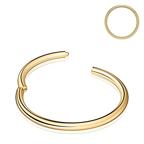Nose Rings Hoop, 316L Surgical Steel 20G 18G 16G 14G Hypoallergenic Nose Rings Septum Cartilage Hoop Earring Conch Piercing Jewelry for Women, Diameter 5mm to 14mm, Gold, Rose Gold, Silver, Black - style: 1pcs, Gold, 20g, Diameter: 8mm