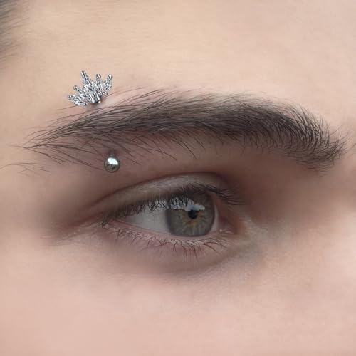 AVYRING 16g Rook Piercing Jewelry Gold Silver Eyebrow Rings Curved Barbell Daith Earrings for Women Horseshoe Septum Hoop Helix Earrings Surgical Steel Belly Button Rings Vertical Labret Lip Jewelry - style: B1- 6pcs- silver