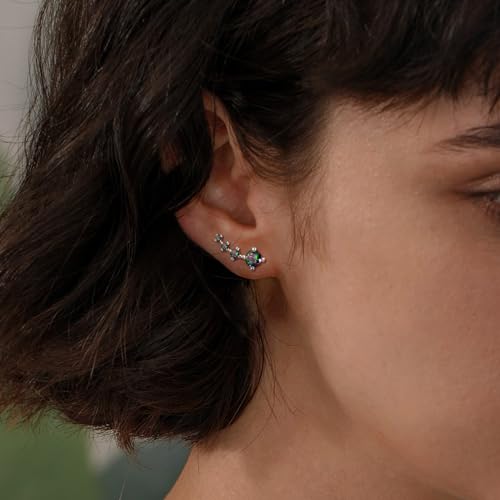 Silver Stud Earrings for Women Trendy - Sterling Silver Ear Climber Earrings Hypoallergenic Post Earrings for Sensitive Ears Colorful Cubic Zirconia Earrings Fashion Women's Earrings Gift for Birthday