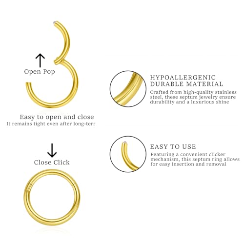 16G 6MM 7MM 8MM 9MM 10MM 12MM Hinged Clicker Septum Rings Pack Surgical Stainless Steel 16 Gauge Nose Ring Daith Rook Tragus Helix Cartilage Conch Hoop Earrings Piercing Jewelry for Women Men - color: Gold Tone