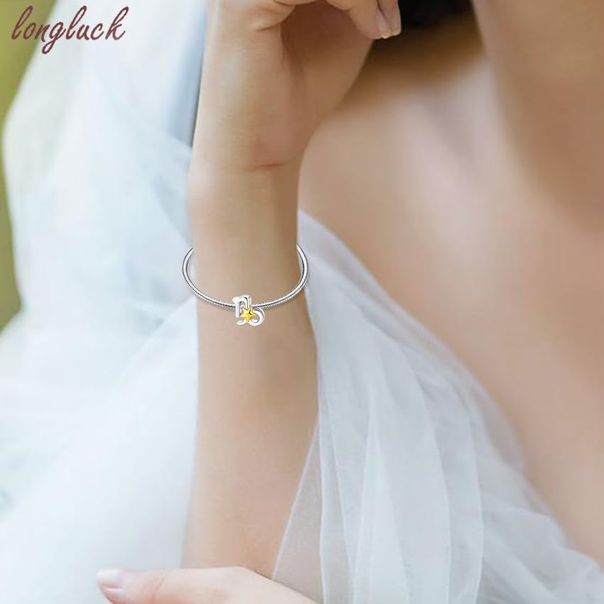 925 Sterling Silver 12 Astrological Signs Charm for Bracelets and Necklace Happy Birthday Charms for Bracelet and Necklace Valentine's Day Mother's Day Gift - style: Capricornus Charm