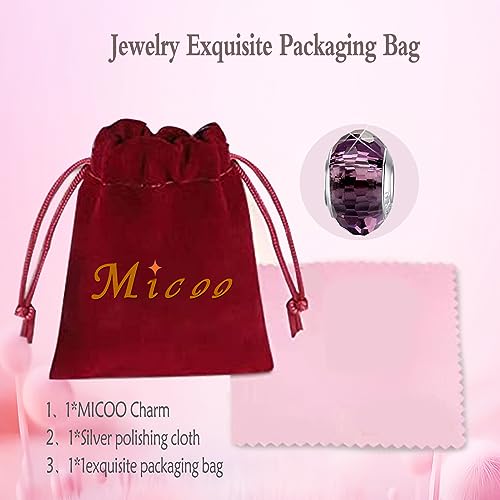 MICOO 925 Sterling Silver Charms for Bracelets,Fashion DIY Dangle Pendants Beads Simulated Birthstone Charms,Birthday Gifts for Women - color: 1Violet Charms