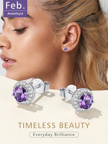 FindChic Birthstone Earrings for Women, Round/Heart/Square/Teardrop Earrings with 925 Sterling Silver Posts & Push Backs, Hypoallergenic Studs with Cubic Zirconia, 12 Months Jewelry with Gift Box - style: 02. February-Amethyst (Round)