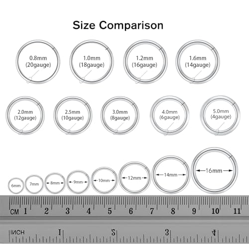 FUNLMO 316L Surgical Steel Hinged Segment Nose Ring Hoop for Nose Septum Cartilage Helix Tragus Conch Rook Daith Lobe Lip Piercings 1 Pc - color: Silver