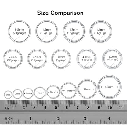FUNLMO 316L Surgical Steel Hinged Segment Nose Ring Hoop for Nose Septum Cartilage Helix Tragus Conch Rook Daith Lobe Lip Piercings 1 Pc - color: Silver