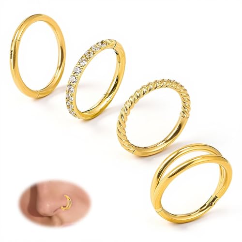 4PCS Nose Ring Hoop 316 Surgical Steel Double Hoop Septum Rings 18g 16g Piercing Jewelry with Zircon Spiral for Women Men Nose Septum Lip 8mm