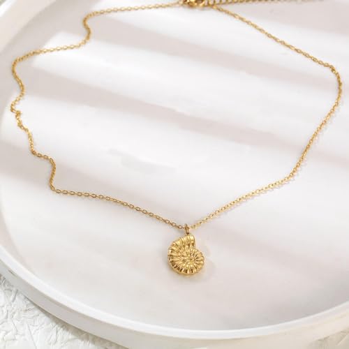 LLWOM Gold Necklace for Women-14k Gold Plated Infinity Necklace Star Of David Necklace Evil Eye Cross Pendants Heart Dainty Gold Necklace For Women - color: Gold-Conch