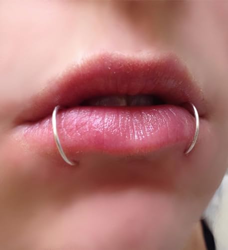 QWALIT Fake Nose Ring Fake Lip Piercing Fake Lip Ring Fake Nose Ring Hoop Fake Snake Bites Fake Lip Piercings Faux Lip Rings Fake Nose Piercing Clip on Nose Ring Spring - color: D5-3 styles-silver