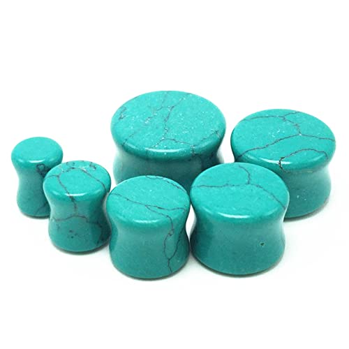 2PCS Stone Ear Gauge Plugs, Turquoise Ear Gauges Jewelry Turquoise Stone Ear Gauge Plugs for Men