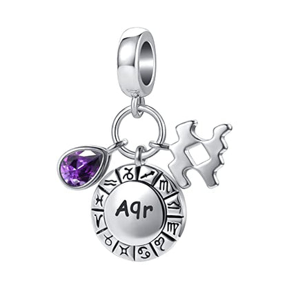 NanMuc Constellation Charm for Women Bracelets Horoscope Zodiac Sign Teardrop Birthstone Birthday Anniversary Dangle Bead for Mom Grandma - style: Aquarius(1.21-2.19)