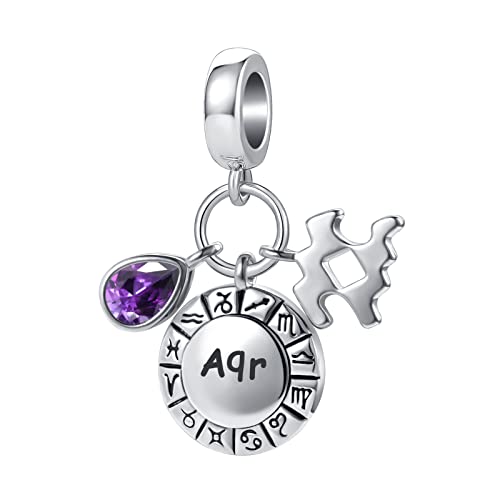 Teardrop Birthstone Birthday Constellation Charm for Women Pandora Bracelets Horoscope Zodiac Sign Anniversary Dangle Bead for Mom Sister Grandma - style: Aquarius(1.20-2.18)