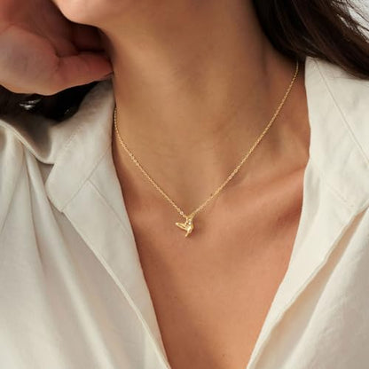 HANLI 14K Gold Plated Necklaces for Women - Dainty Butterfly, Star of David, Moon and Star, Sun, Lotus, Infinity, Hummingbird, Bee,Boots,Chill,Sunflower Pendant Designs - Elegant Jewelry for Women - color: Hummingbird