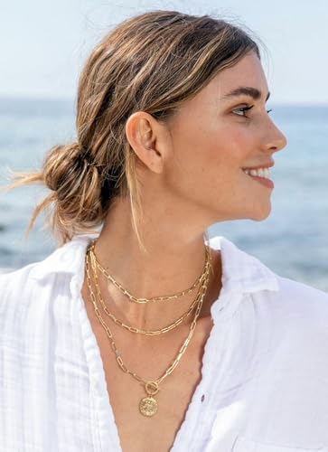 18k Gold Plated Chain Link Necklace for Women, Baroque Pearl/Compass Pendant Necklace - color: Iris Flower
