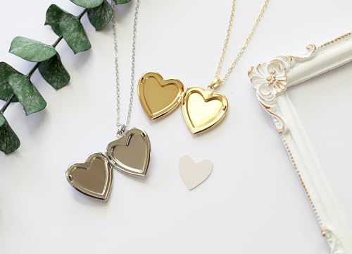 Handmade Heart Shaped Dried Pressed Forget Me Not Flower Photo Locket Pendant Necklace - color: Silver, style: WHITE+ROYAL BLUE