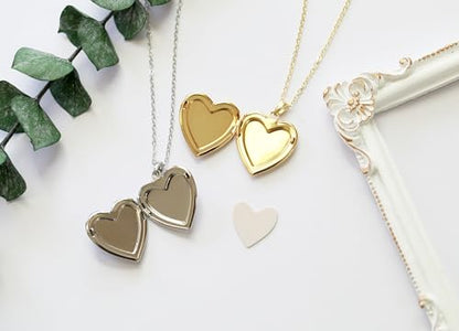 Handmade Heart Shaped Dried Pressed Forget Me Not Flower Photo Locket Pendant Necklace - color: Silver, style: WHITE+ROYAL BLUE
