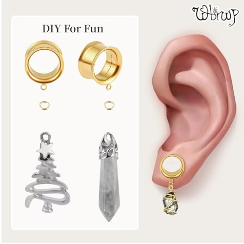WBRWP 6pcs Ear Gauges Tunnels Plugs: DIY Ear Tunnles Piercing Expander Stainless Steel Double Flared Screw Gauges - color: Gold-Style 1