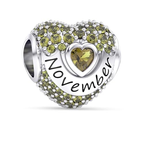 Birthstone Charms Love Heart Openwork Bead Charm for Women Bracelets and Necklaces 925 Sterling Silver with 5A Cubic Zirconia,Jewelry Gifts Women - color: Silver November Birthstone Charms