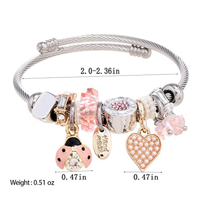 DS Charm Bracelets for girls,exquisite cute cartoon friendship bracelets Silver Stainless Steel Bangle with birthday Gift box, Adjustable girls jewelry Suitable for holiday gifts - style: Silver-pink beetle