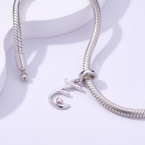 Letter Charms for Pandora Bracelets 925 Sterling Silver Alphabet Initial Charms Bead Jewelry Gift for Women - style: Initial E