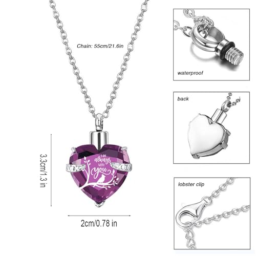 Q&D&S Crystal Urn Necklace for Ashes, Heart Birthstone Memorial Cremation gift Jewelry for Women - color: purple