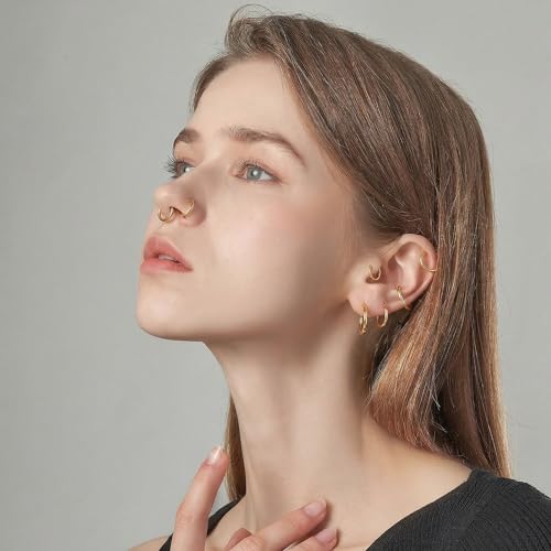 6Pairs Nose Rings Hoops - 316L Surgical Steel Hinged Nose Hoops 16G/18G/20G Clicker Septum Nose Ring Lip Helix Cartilage Hoop Earring Daith Rook Conch Body Piercing Jewelry for Women Men 6mm 7mm 8mm 9mm 10mm 12mm - color: Gold, size: 16 gauge(1.2mm)