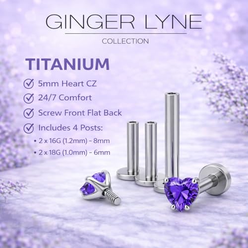 Titanium Heart CZ Labret Stud Earrings for Piercings by Ginger Lyne 6Pc Set G23 Screw Front Flat Back Body Jewelry 2 pair post 6mm, 8mm Cartilage, Helix, Tragus, Lip, Conch, Lobe - color: 5mm-DKPurple