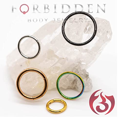 Forbidden Body Jewelry 316L Surgical Steel Hinged Seamless Nose Rings Hoop 14G 16G 18G, Diameter 6mm 8mm 10mm 12mm, Gold/Rose Gold/Silver/Black/Rainbow Colors. - style: 14g 8mm - Silver