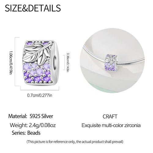 925 Sterling Silver Stopper Clip Charms for Bracelet Necklace Spacer Beads with 5A Cubic Zirconia Mother's Day Christmas DIY Gift for Women(2PCS) - style: Harvest Grapes
