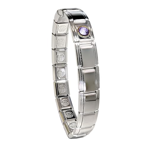 Birthstone Charm Bracelet Jewelry, Italian Modular Family Birthstone Charm Starter Stainless Steel - color: 18 LINKS-SILVER-06-June