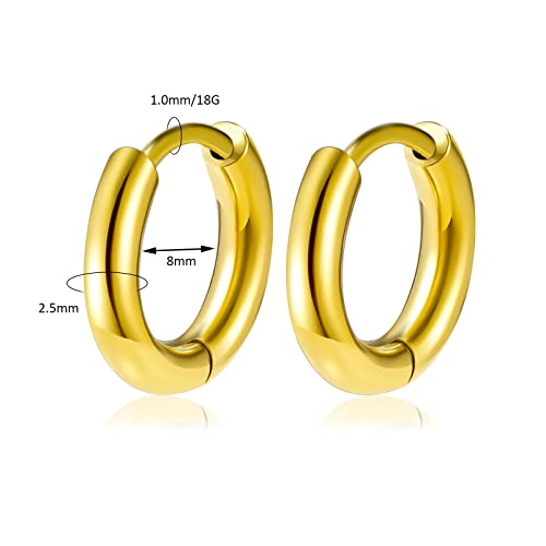 Titanium Huggie Hoop Earrings Hypoallergenic Nickel Free Hinged Sleeper Earrings for Sensitive Skin Cartilage Helix Lobes - style: Huggie 8mm gold