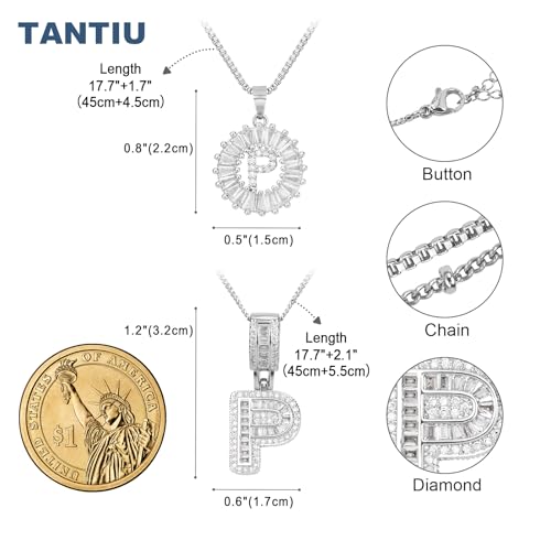 14K Gold Plated Alphabet Necklace Cubic Zirconia Letter Pendant, Personalized Name Jewelry Gift for Women, Customizable A-Z, Birthday/Mothers Day Gifts for Womens - color: White Gold, style: Style-P