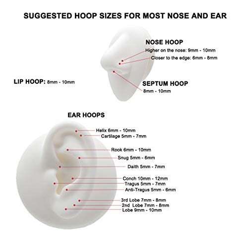 316L Surgical Steel Hypoallergenic Hinged Nose Ring Hoop for Women & Men | Seamless Clasp, Used in Nostril, septum, lip, and all ear piercings. 20 Gauge to 6 Gauge, Inner Diameter 5mm to 22mm - color: 18k rose gold-plated, size: 20 Gauge 6mm
