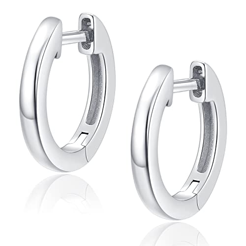 14K Gold Plated Hoop Earrings for Women with 925 Sterling Silver Post, Lightweight Small Hoop Earrings 15mm/20mm Huggie Hoop Earrings - color: 925 Sterling Silver, size: 20MM
