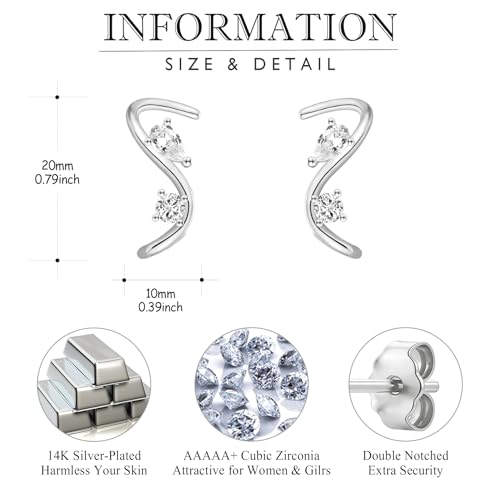 EPIRORA Earrings for Women Trendy, Dainty Geometric S-Shape Cubic Zirconia Stud Earrings for Women Hypoallergenic, Unique Jewelry Gift for Her on Valentine's Day, Birthday, Party - Silver & Gold - style: Silver
