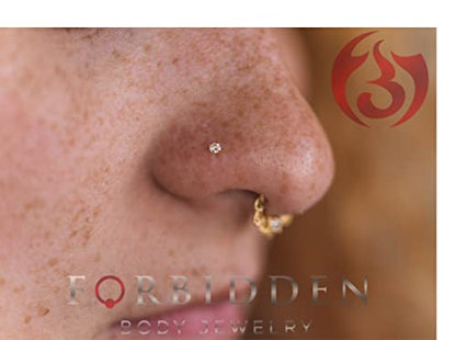 Forbidden Body Jewelry 14k Gold Nose Ring, 20g, Solid 6mm Stud, 2mm CZ Simulated Diamond, Non-Irritating Skin Safe Real Gold, Women and Men - color: 2pcs: 14k Yellow Gold