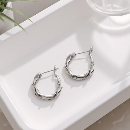 14k Gold Plated Hoop Earrings for Women, 925 Sterling Silver Posts Thick Twist Hypoallergenic Chunky Large Earrings 20mm 30mm 40mm 50mm - color: silver, size: 20mm