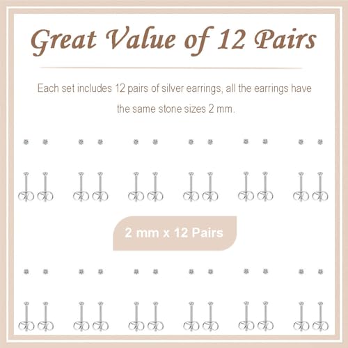 12 Pairs Stud Earrings Set, Hypoallergenic Surgical Stainless Steel 316L Earring for Women Men, Small Earring Studs Pack with Cubic Zirconia - color: Silver-2mm x 12 Pairs
