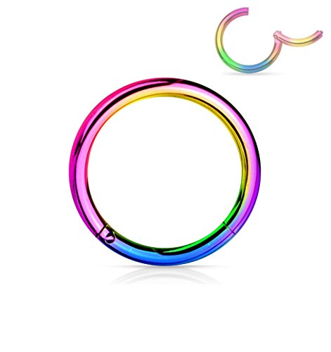 Forbidden Body Jewelry 316L Surgical Steel Hinged Seamless Nose Rings Hoop 14G 16G 18G, Diameter 6mm 8mm 10mm 12mm, Gold/Rose Gold/Silver/Black/Rainbow Colors. - style: 18g 8mm - Rainbow