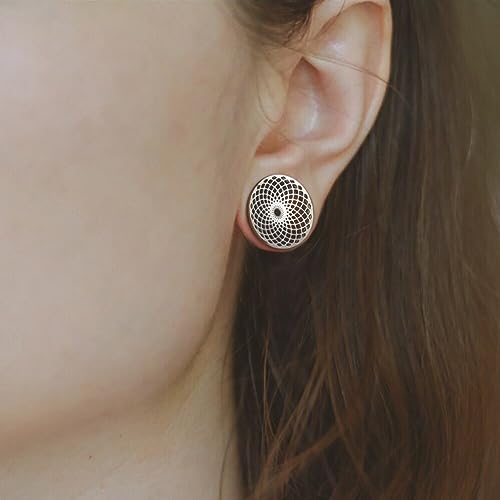 1 Pair New Classic gauges Ear Plugs Tunnels Hypoallergenic 316 Stainless Steel Ear Gauges 8mm-25mm (0G-1") Body Piercing Jewelry - color: Silver-1407, size: 0G(8mm)