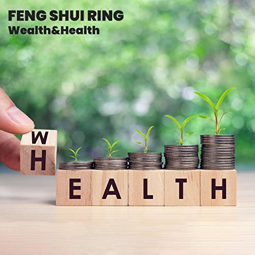 HETICA Feng Shui Pixiu Mantra Amulet Lucky Adjustable Ring | Buddhist Good Luck Mantra, Double Protection, Wealth Love Health, Vintage, Jewelry Gift