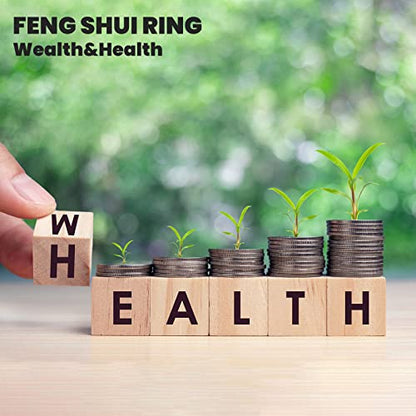 HETICA Feng Shui Pixiu Mantra Amulet Lucky Adjustable Ring | Buddhist Good Luck Mantra, Double Protection, Wealth Love Health, Vintage, Jewelry Gift