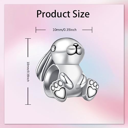 Bible Family Mom Wife Love Heart Dangle Charm 925 Sterling Silver Charms fits Bracelets and Necklace Pendant Bead Charms Jewelry Present for Women Family Friends - style: Cute Rabbit Charm