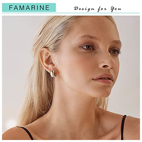 FAMARINE Chunky Thick Hoop Earrings for Women Gold Hoops Huggie Earrings for Men Gift - color: 0.7" Hoop silver